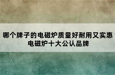 哪个牌子的电磁炉质量好耐用又实惠 电磁炉十大公认品牌